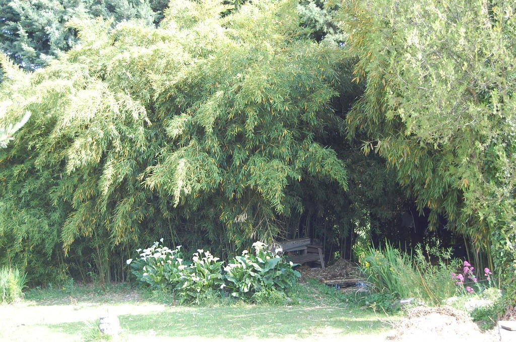 Gite Le Gre Chantemerle-lès-Grignan Dış mekan fotoğraf